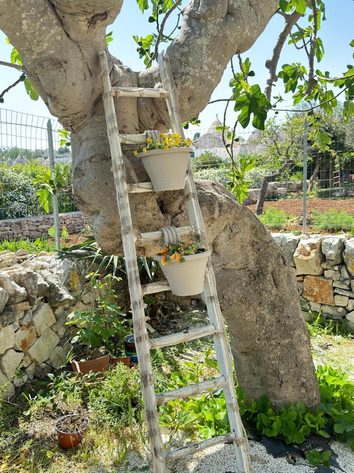 Trulli Aia Piccola *