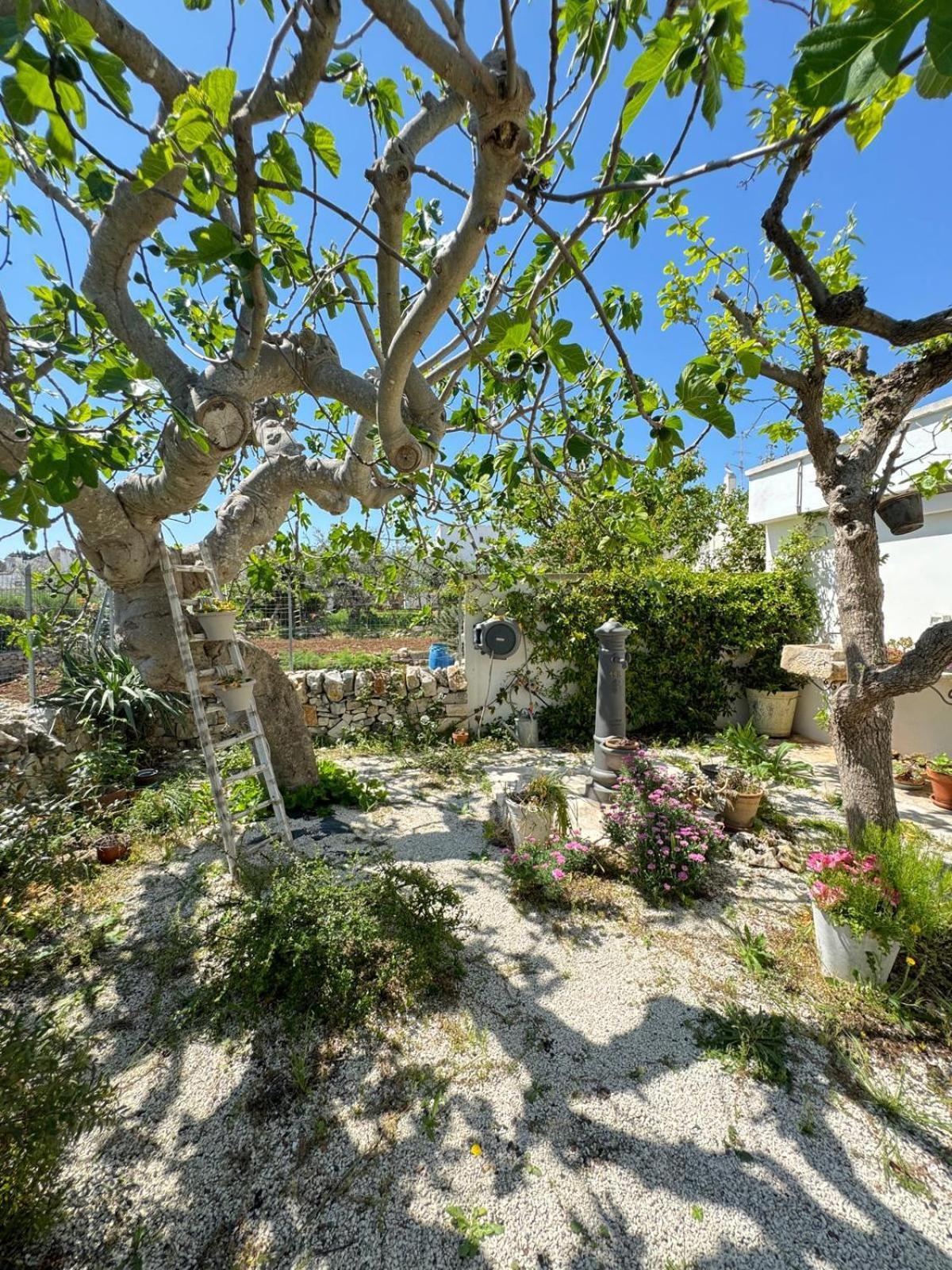 Trulli Aia Piccola * Alberobello