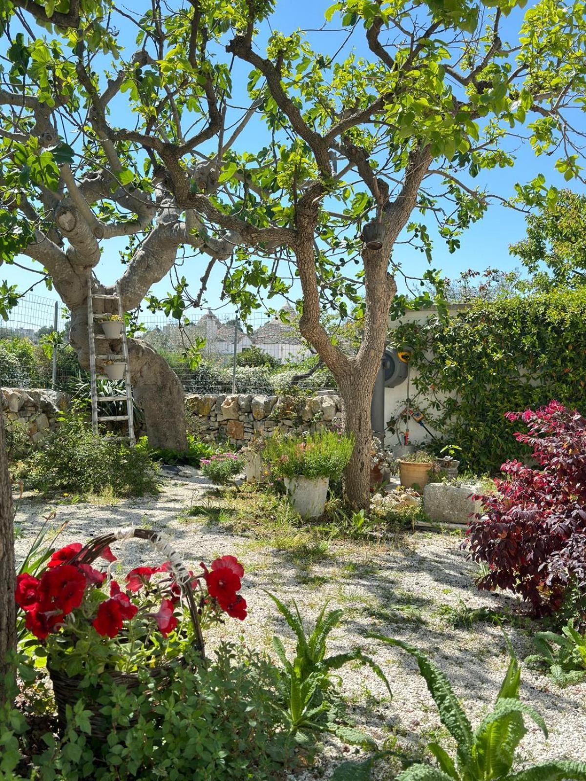 Ferienhaus Trulli Aia Piccola Alberobello