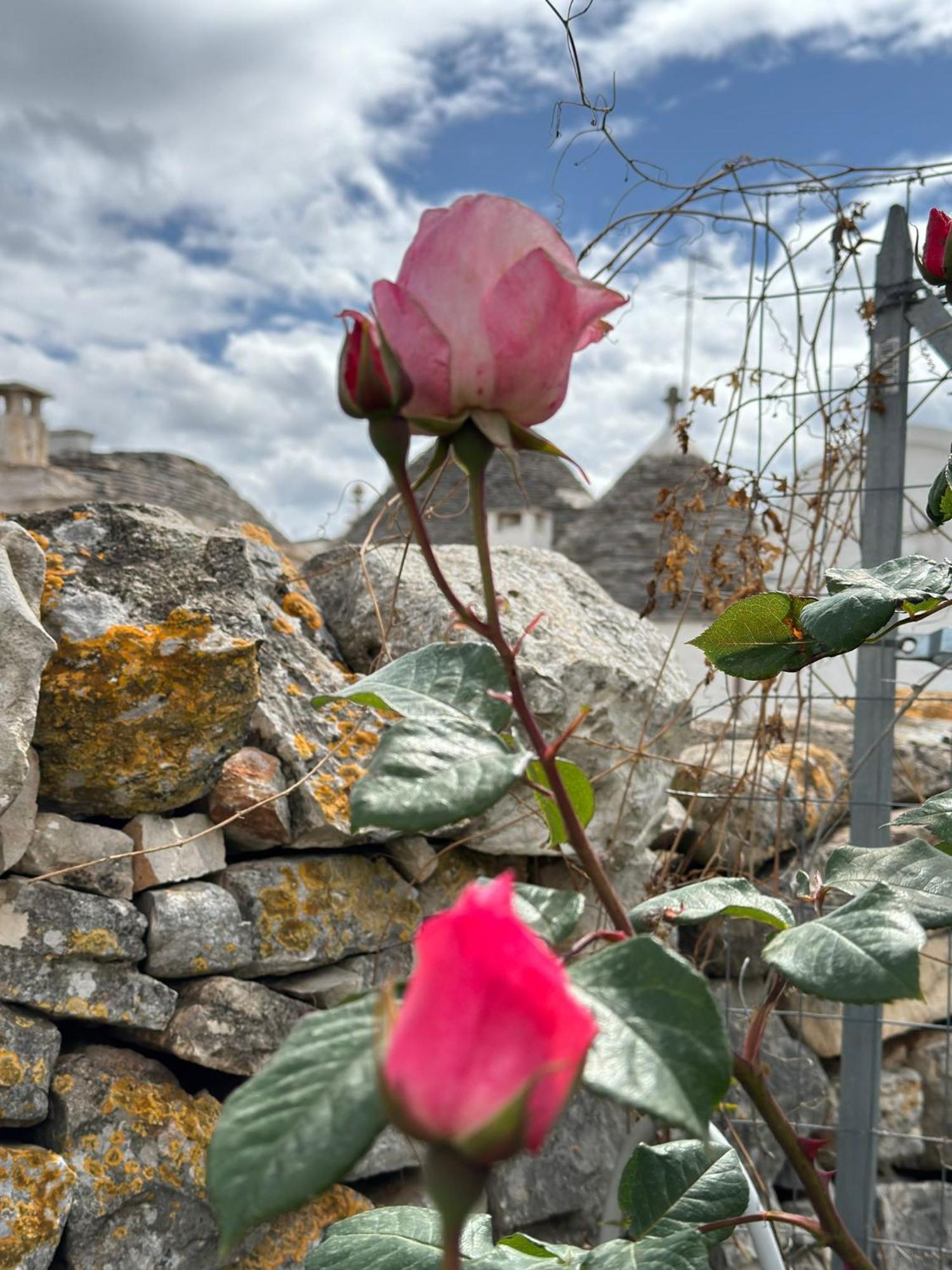 Ferienhaus Trulli Aia Piccola *
