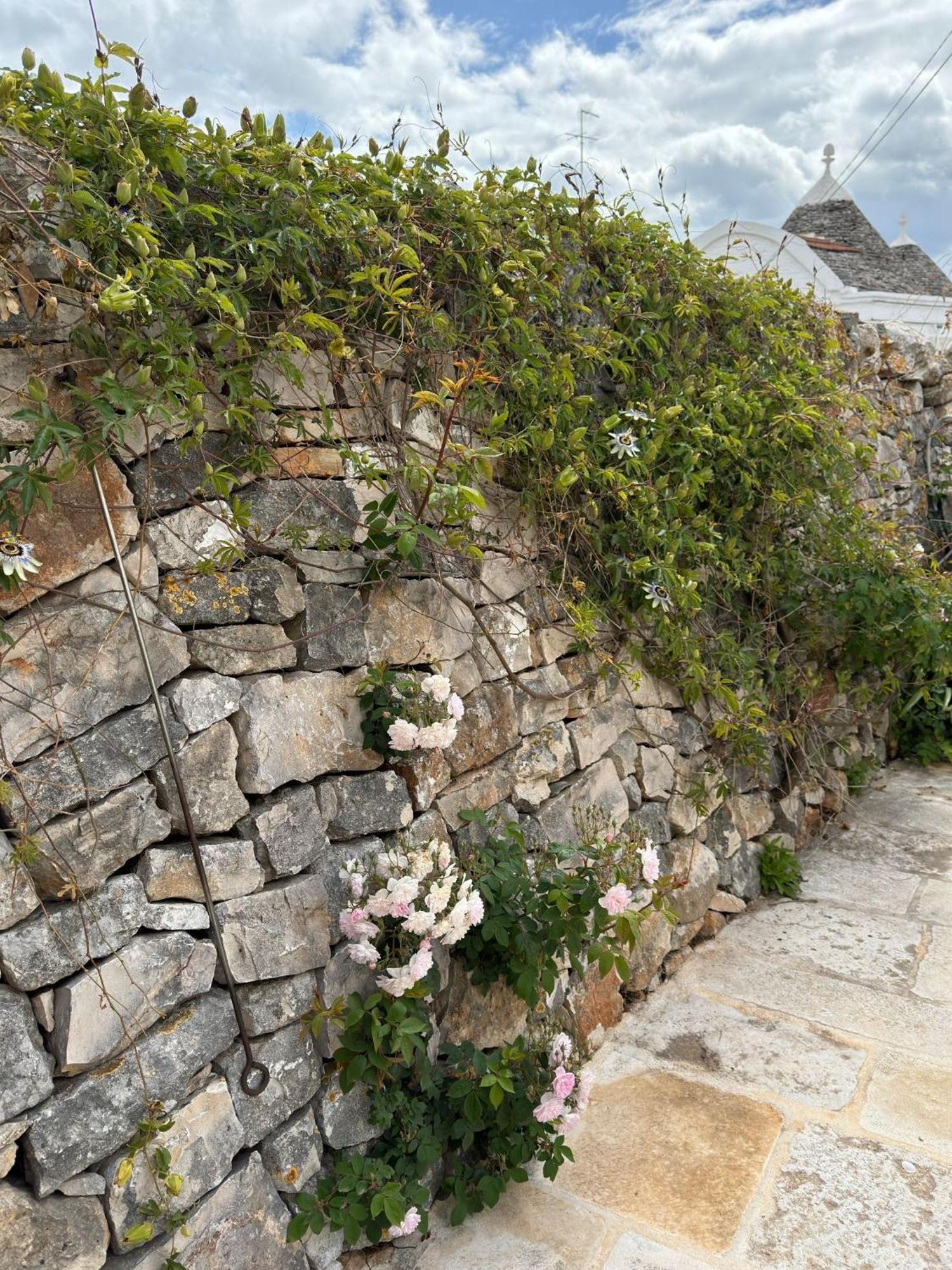 Trulli Aia Piccola Alberobello